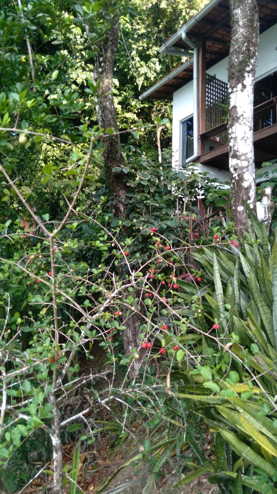Casa Shuhari Villa Morro de São Paulo Exteriör bild