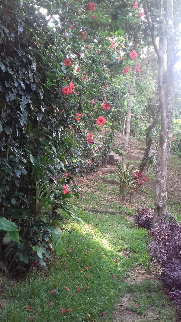 Casa Shuhari Villa Morro de São Paulo Exteriör bild